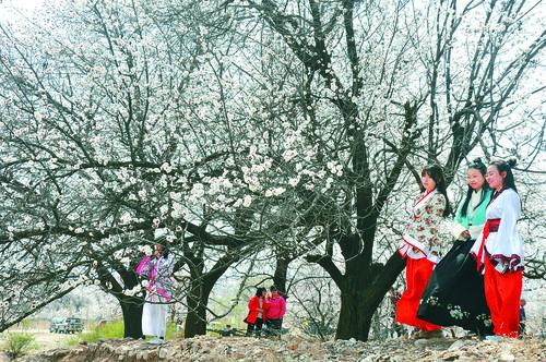 YX06永兴集团登录二维码